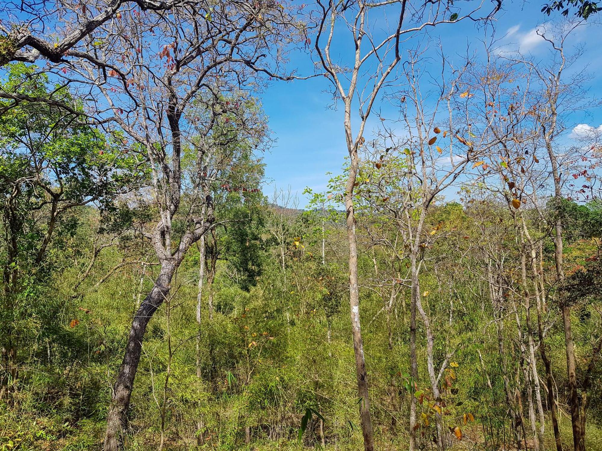 Ratanakiri Homestay Banlung Luaran gambar